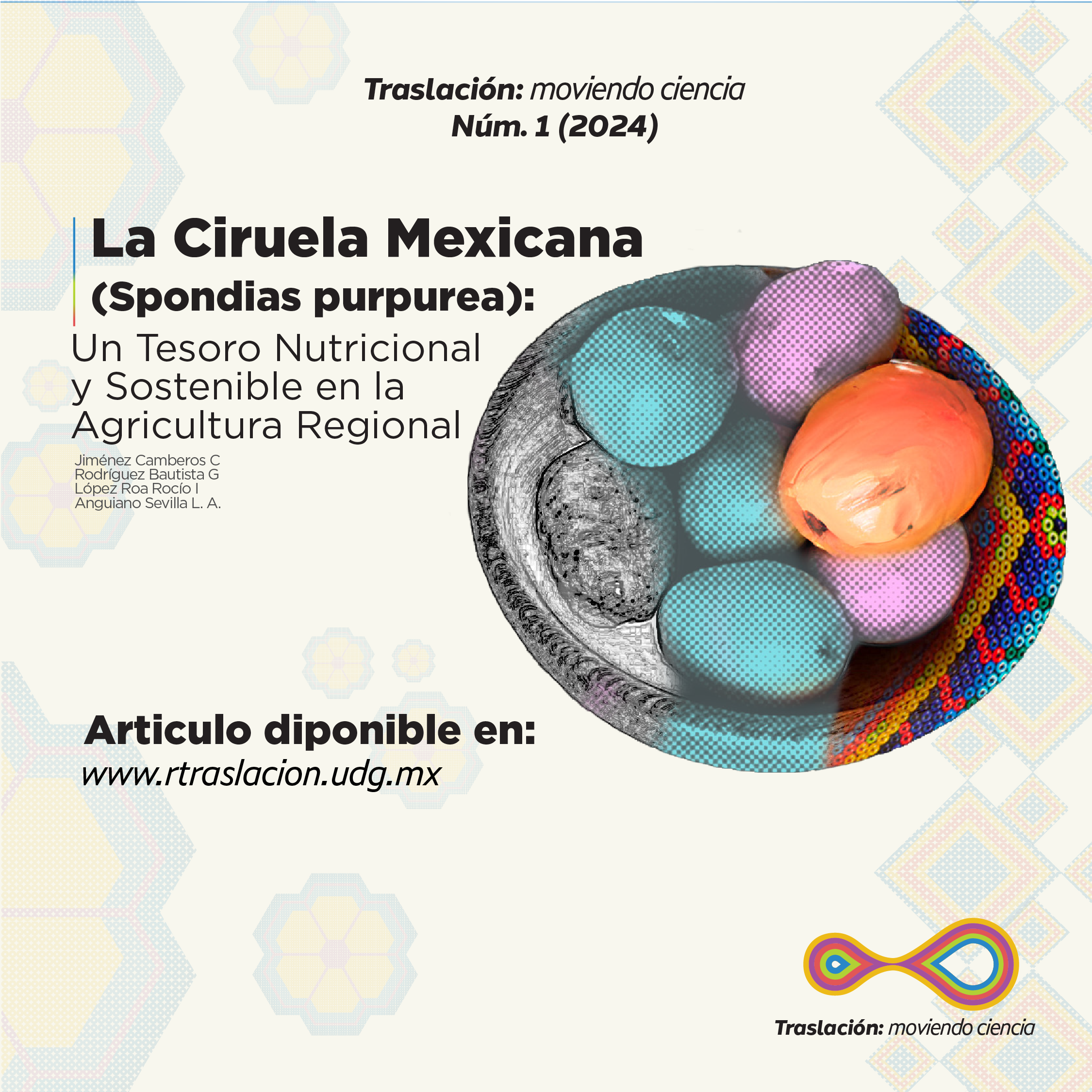 Traslación – Moviendo Ciencia: Full Brand Identity & Editorial Architecture – Production Visual Asset #2