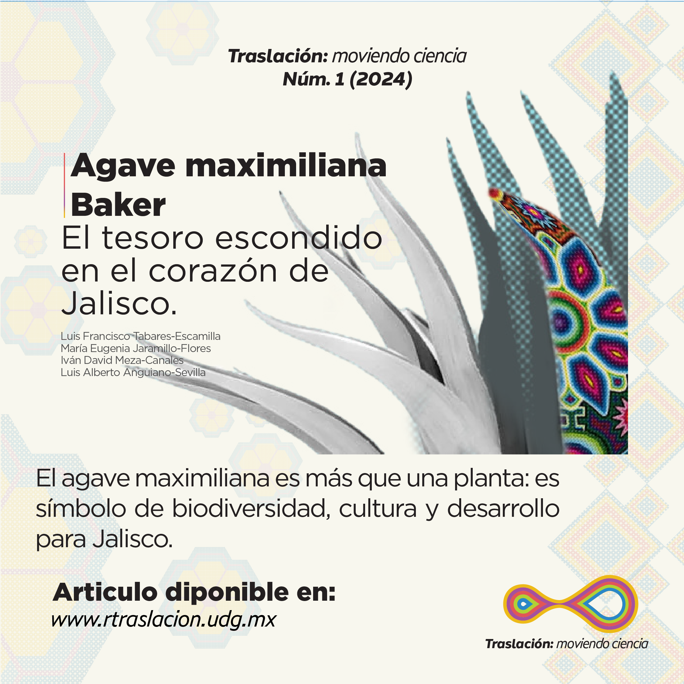Traslación – Moviendo Ciencia: Full Brand Identity & Editorial Architecture – Production Visual Asset #6