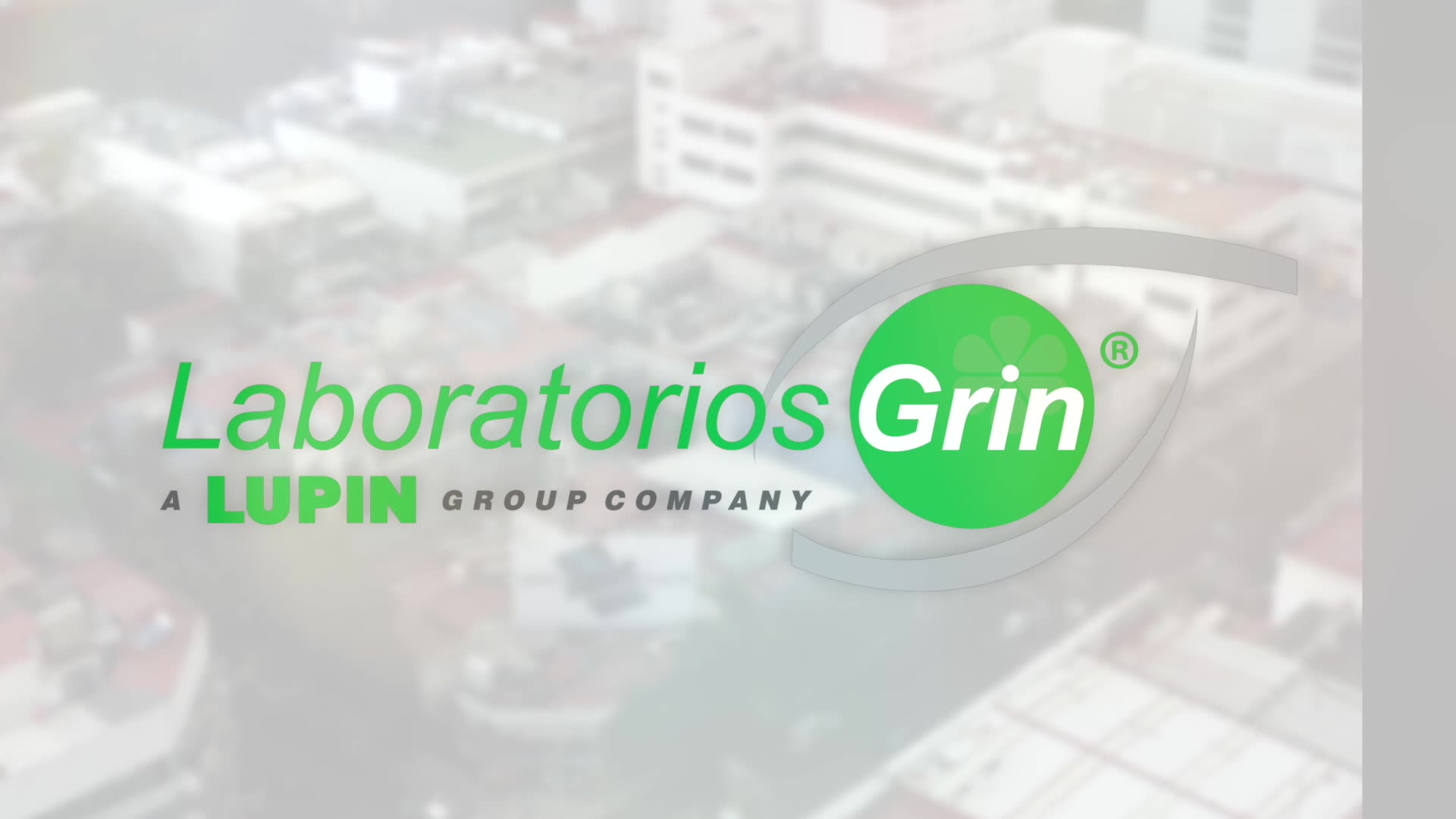 The History of Grin Laboratories